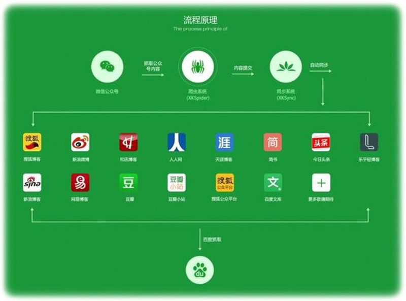 品牌策划：企业成长的催化剂